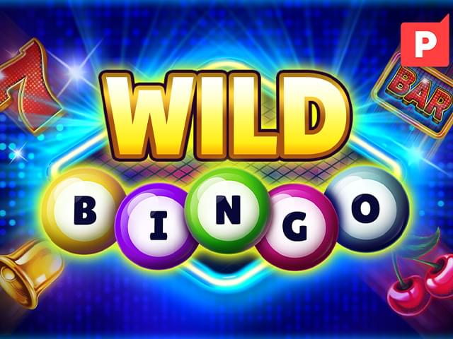 5win3 Bingo Selvagem